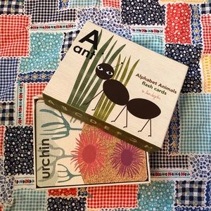 Lisa DeJohn Animal 🦊 alphabet Flash cards